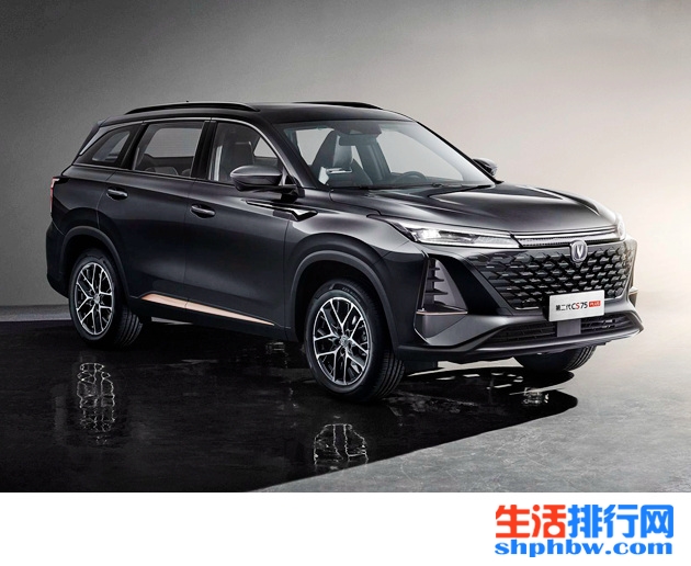 2022年度suv销量排行榜_suv 销量排行_销量最好的国产suv排行