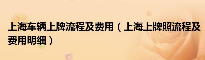 合肥上牌照流程及费用_2022年新车上牌照流程及费用_新车异地上牌照流程