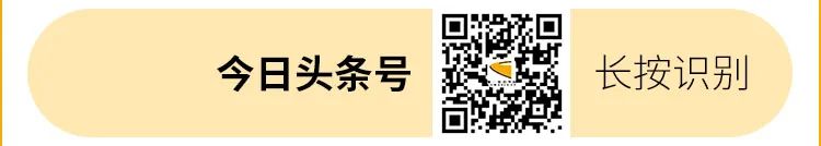 2022年汽车销量预计_2019年小米第一季度预计销量_汽车终端销量和实销量