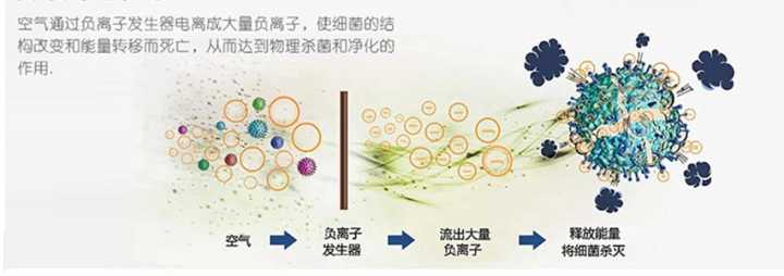 深圳 电动单车 上牌_电动游览车上牌价格_2022新电动车上牌多少钱