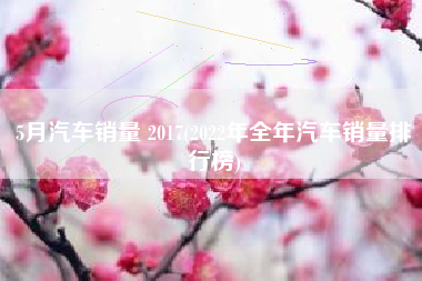 5月汽车销量 2017(2022年全年汽车销量排行榜)