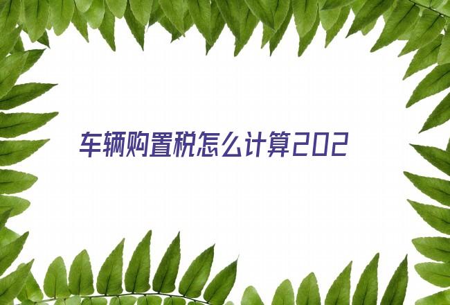 车辆购置税怎么计算2022