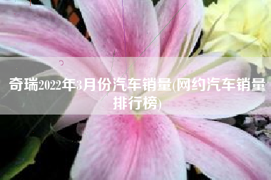 奇瑞2022年3月份汽车销量(网约汽车销量排行榜)