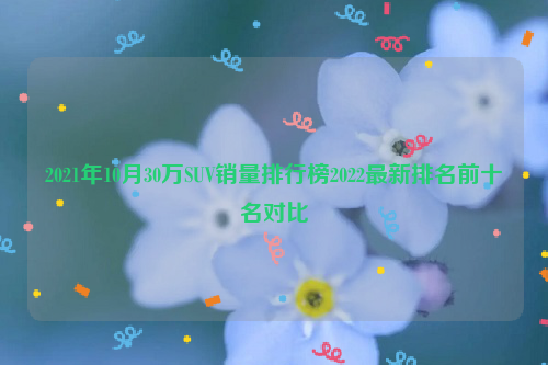 2021年10月30万SUV销量排行榜2022最新排名前十名对比