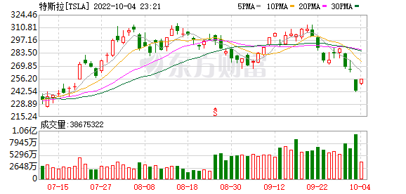 K图 TSLA_0