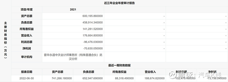 2017年乘用车销量_2022年上半年商用车销量第一_2016年乘用车销量排名