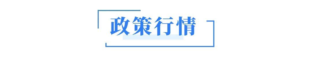 比亚迪f3新款_最新款比亚迪汽车_比亚迪2022新能源汽车新款