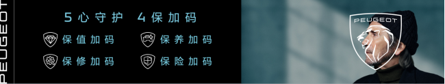 标致408新车油耗高_东风标致2022年新车_东风风神2017年出新车