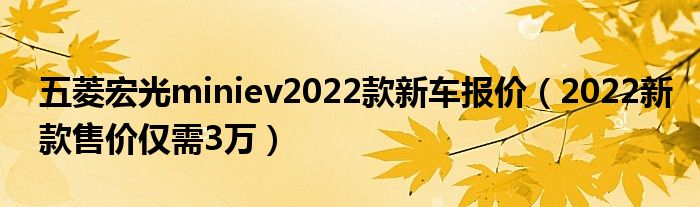 五菱新车报价2022款_五菱宏光2014款新车_五菱商务车2013款报价