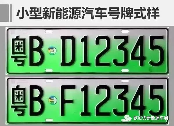 本田新款crv送牌照吗_新款汽车牌照样式_黄金样式最新款图片