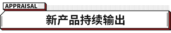 10万左右进口性价比高的车型_新款车型上市2016图片10万左右_2022新款车型20万左右