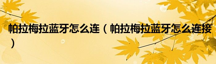 新款北京吉普2023_帕拉梅拉新款2023_新款北京吉普2023图片