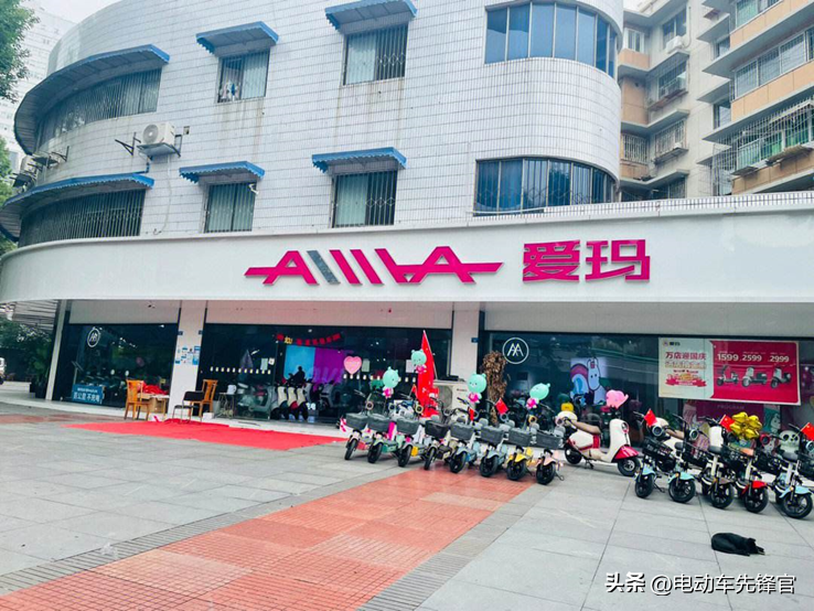 不合格电动车品牌大全_电动豪车品牌排行榜_平衡车品牌排行榜 双轮 电动