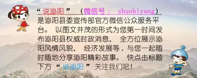 开车撞人应该怎么办_车主开车撞4s店_梦见开车撞到人