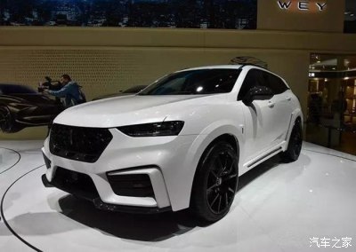 豪华品牌suv销量排行榜_豪华品牌7座suv_二十万的国产suv