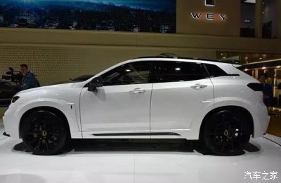 二十万的国产suv_豪华品牌suv销量排行榜_豪华品牌7座suv