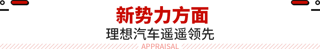 2023年燃油车销量多少辆_特斯拉和比亚迪市场份额_特斯拉涨跌对比亚迪的影响