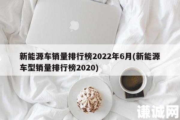 新能源车销量排行榜2022年6月(新能源车型销量排行榜2020)