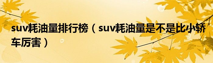 耗油量排名前十品牌汽车_suv燃油车油耗排行榜_轿车耗油量排名