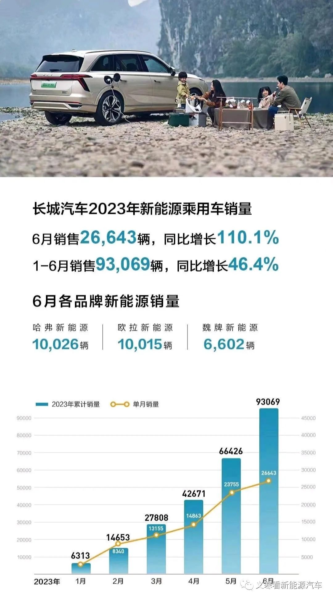 2023汽车销量排行榜3月份最新_2020能源车品牌_新能源销量排名