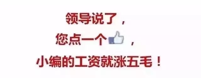 档位自动_自动挡挡住_10万以内的自动挡车哪款好