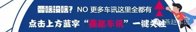 轿车销量排行2020_4月份轿车销量排行榜_轿车销量排行榜1月