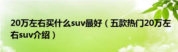 20万左右国产suv什么车好点_国产偏宜车_国产suv选哪个