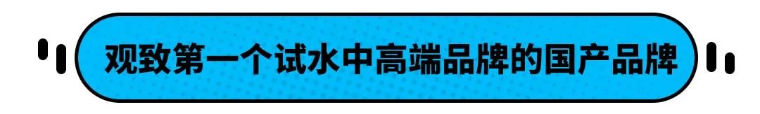 20万左右的国产车轿车_左右的轿车_国产的轿车