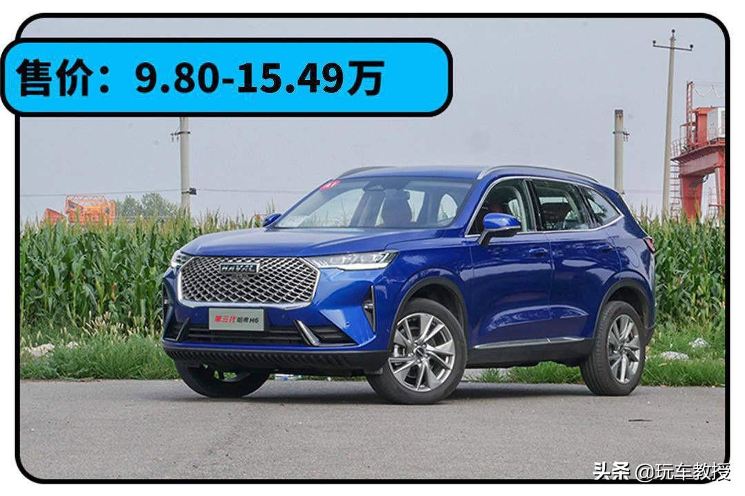 suv4月销量_销量月份排行榜_销量月月环比增长