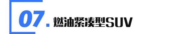 国产suv车20万元左右车型有哪些_万左右的suv_国产几万块的suv