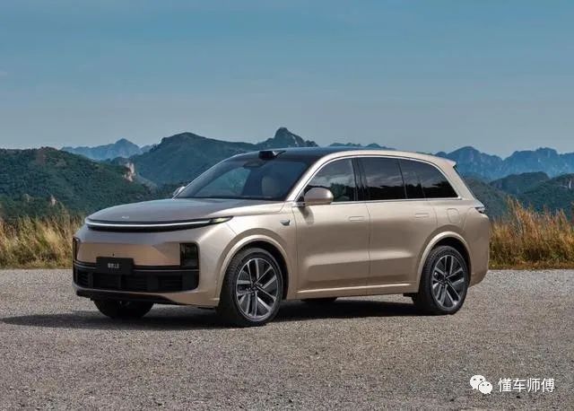 排名前十的大型suv_中大型suv品牌质量排行_30万中大型suv排名前十名