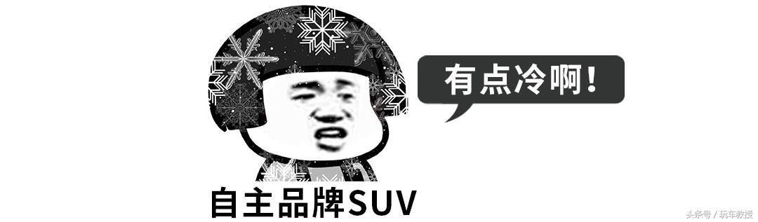 合资suv哪个牌子更值得入手_合资车suv质量前十名_合资suv哪个品牌的车好