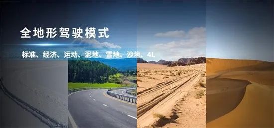 大全新车上市款2023款_车大全2021的新款车_2023款新车上市大全