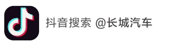 车年2020+6啥意思_车年20年的普桑二手价格_2023年的车